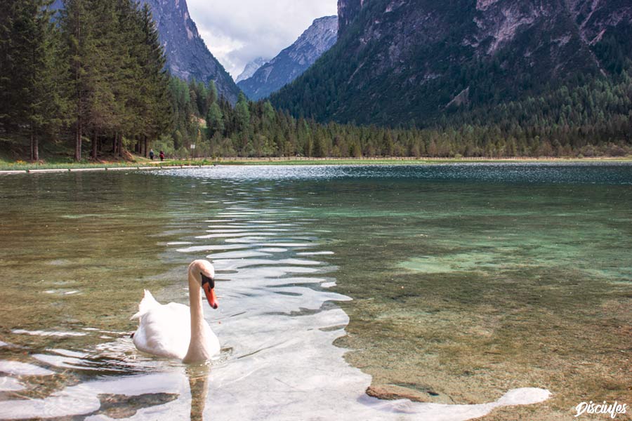 lago di Dobbiaco