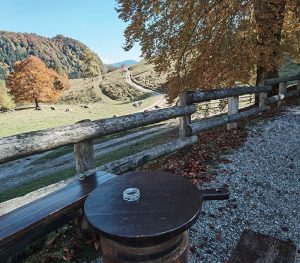 malga grassi panoramica