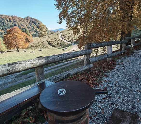 malga grassi panoramica
