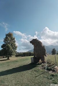 orso del monte bondone