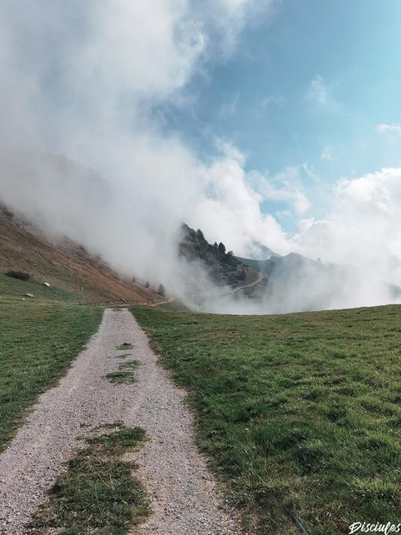 sentiero sul monte bondone