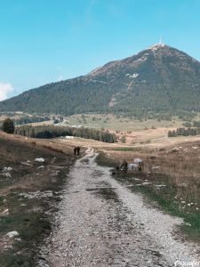 piani delle viote